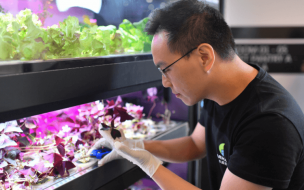 Raymond Mak's startup Farmacy HK has brought fresh fruit and vegetables to Hong Kong using smart technology