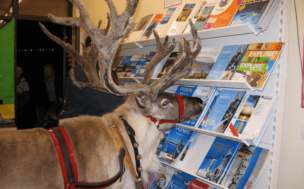 Reindeers find it difficult to write cover letters