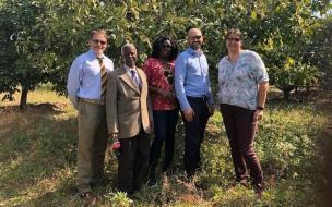MBAs meet members of the Avocado Grower Association Zambia on the International Business Assignment | ©Cranfield University